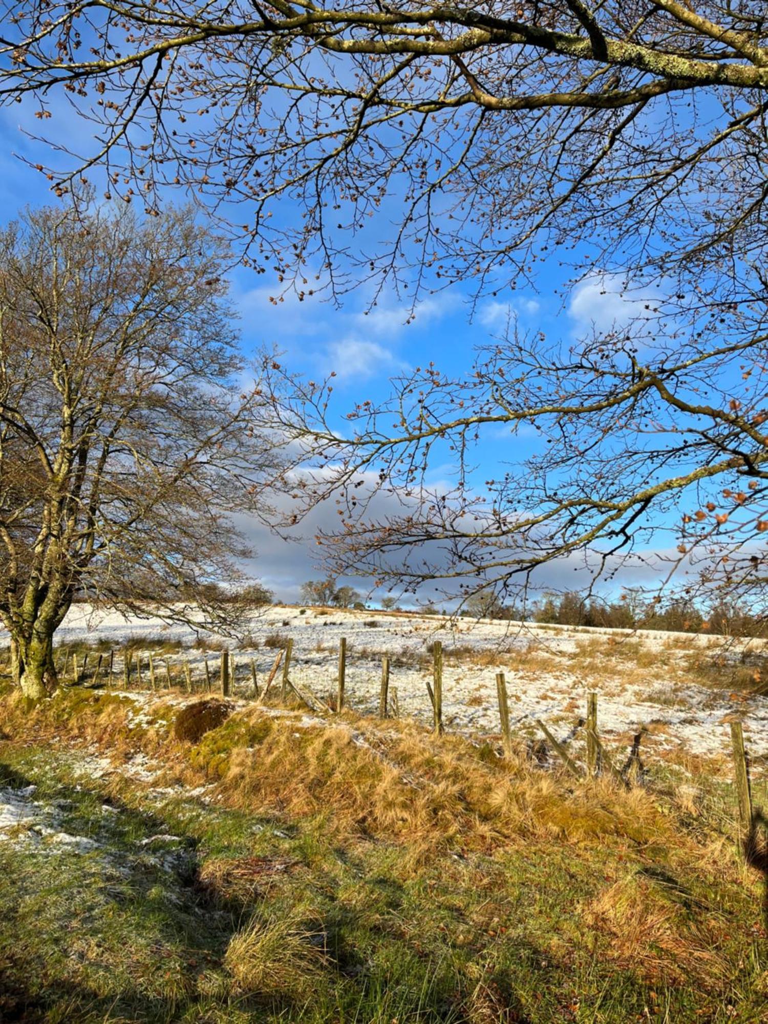 Stoneymollan Over Loch Lomond Lodge
