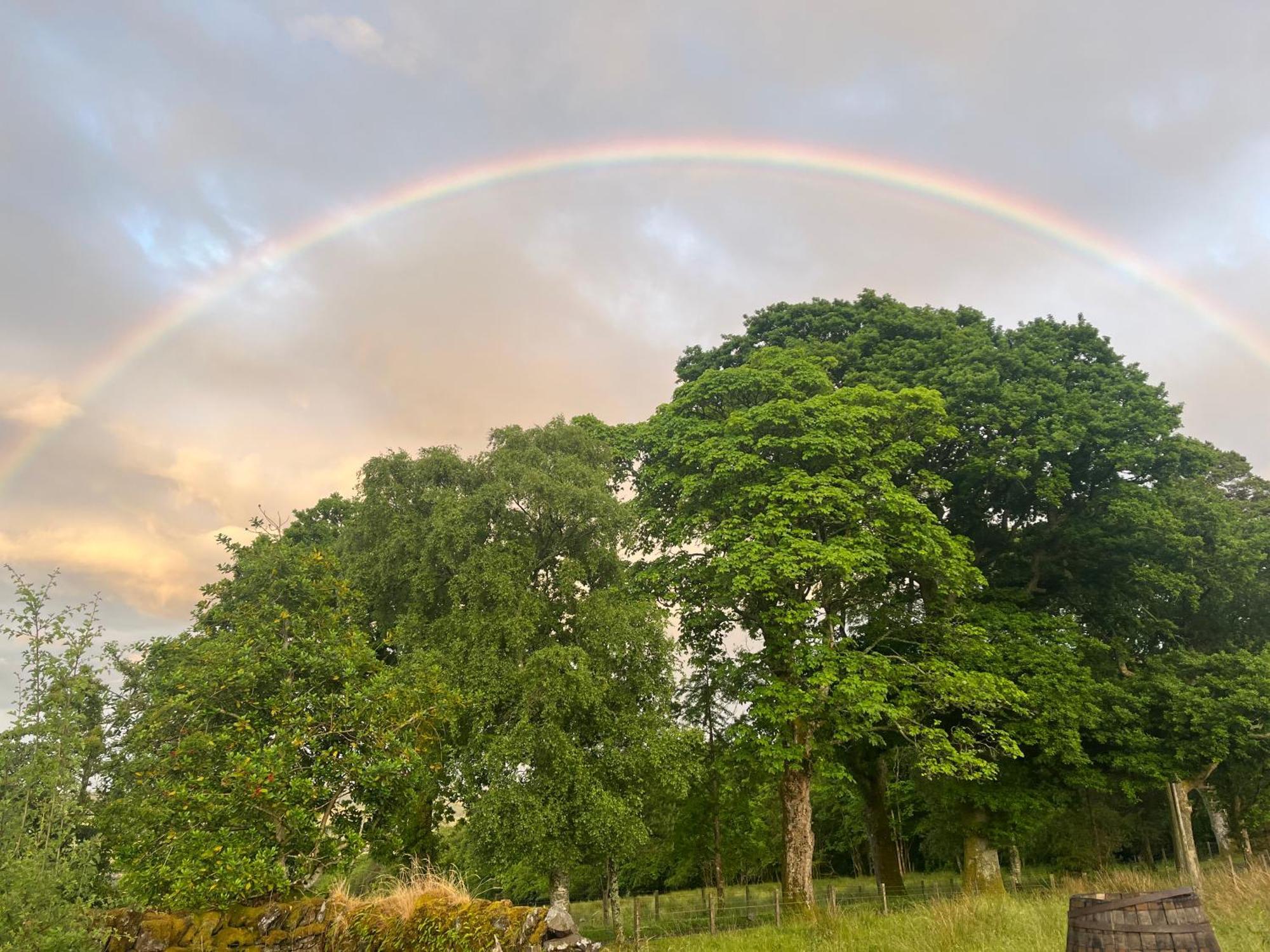 Stoneymollan Over Loch Lomond Balloch