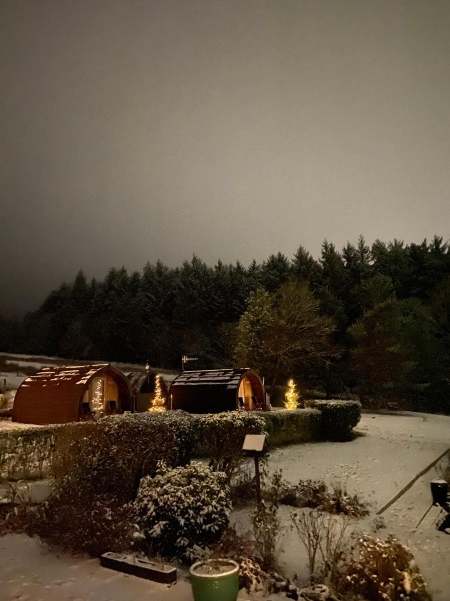 Lodge Stoneymollan Over Loch Lomond *