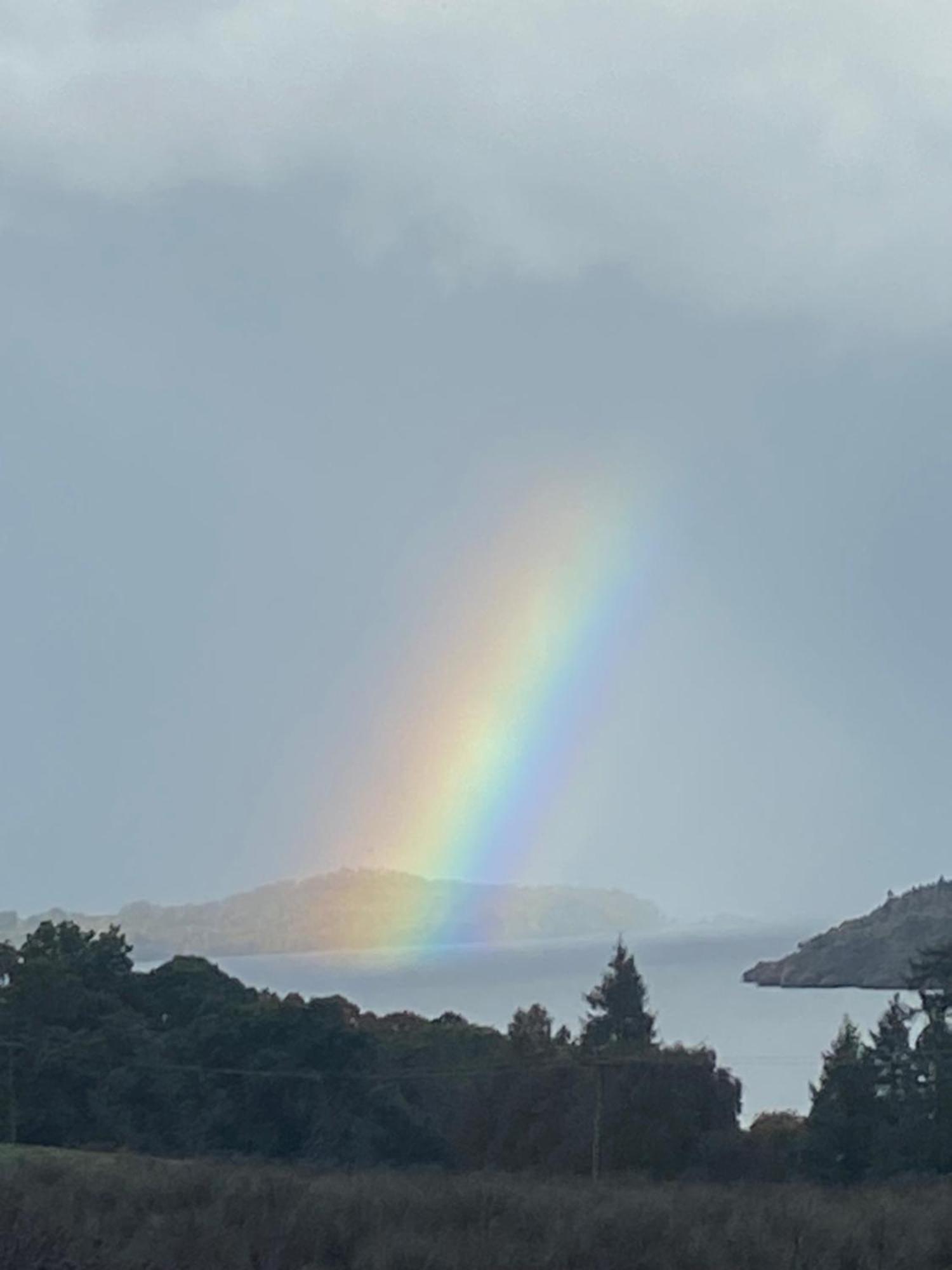 Stoneymollan Over Loch Lomond Lodge Balloch